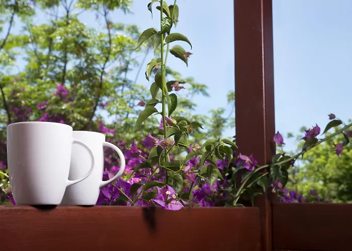 Sundia By Liberty Suncity Otel