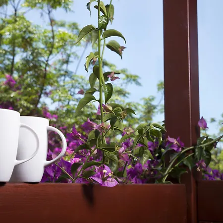 Sundia By Liberty Suncity Hotel